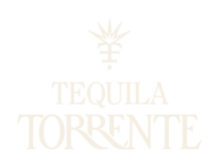 pagina-torrente Nueva propuesta